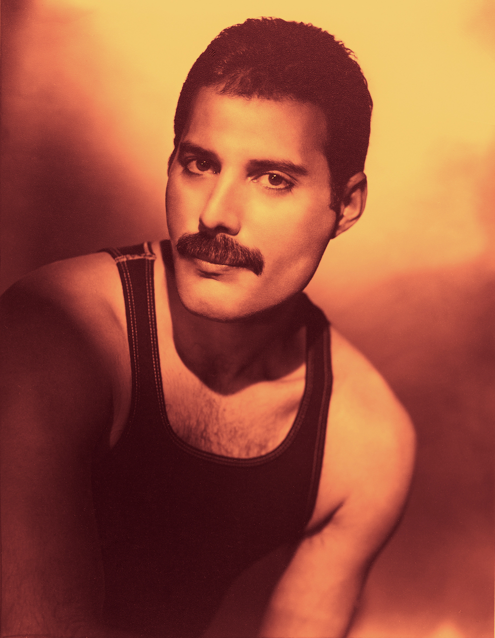 Freddie Mercury